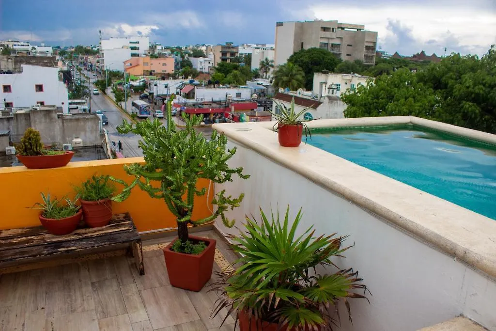 Eleven Playa Del Carmen By Bfh Hotel