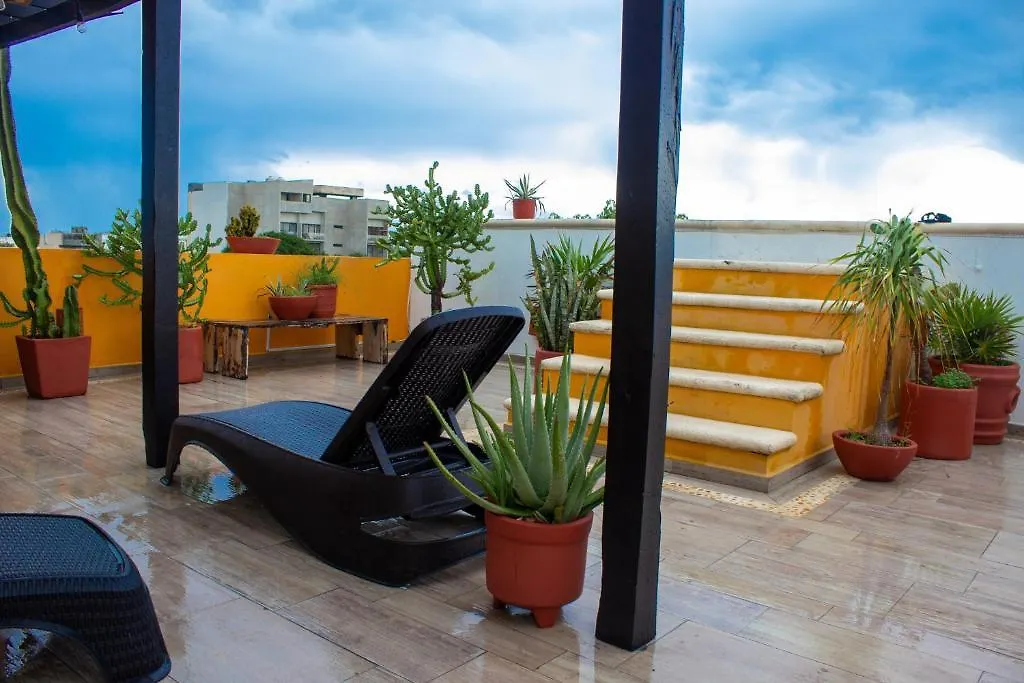 Eleven Playa Del Carmen By Bfh Hotel Mexico